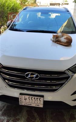 هیوندای تۆکسۆن